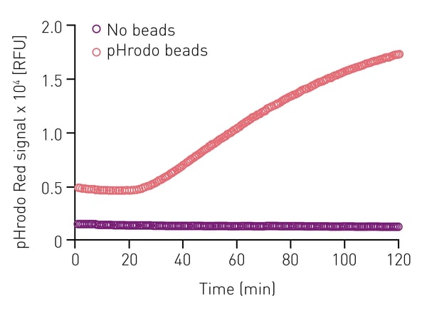 Fig. 2: Detection of increased pHrodo Red signal over time following bead uptake by RAW 264.7 cells. An average of 3 technical replicates is shown. 