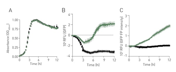 Fig.3.  Absorbance (A), Fluorescence (B) and Polarized Fluorescence (C) proﬁles for GBS (GFP+, green; GFP-, black) grown in THB.