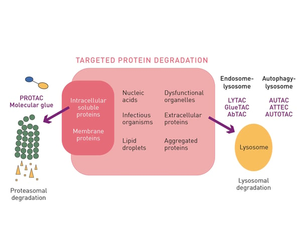 Fig. 4. Different approaches and technologies for targeted protein degradation.