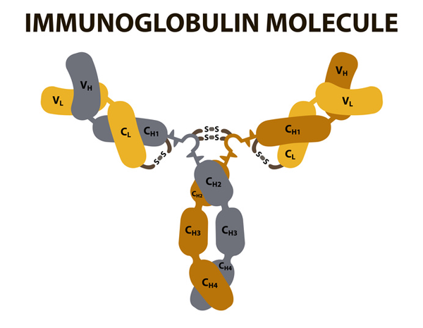 Biosensors For Analytical Purposes | BMG LABTECH