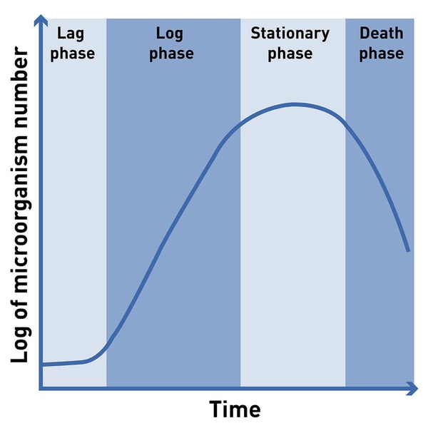 Measure microbial growth using the „OD600“ | BMG LABTECH