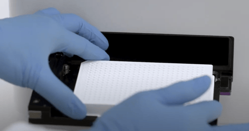 microplate