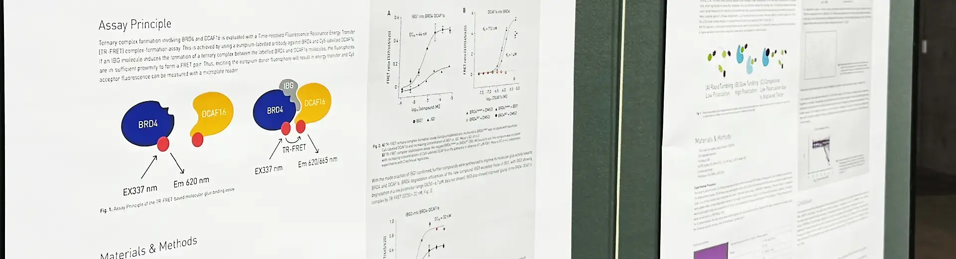 A wall with two BMG LABTECH application notes posters