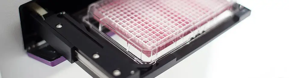 A microplate that Looks out of a microplate Reader