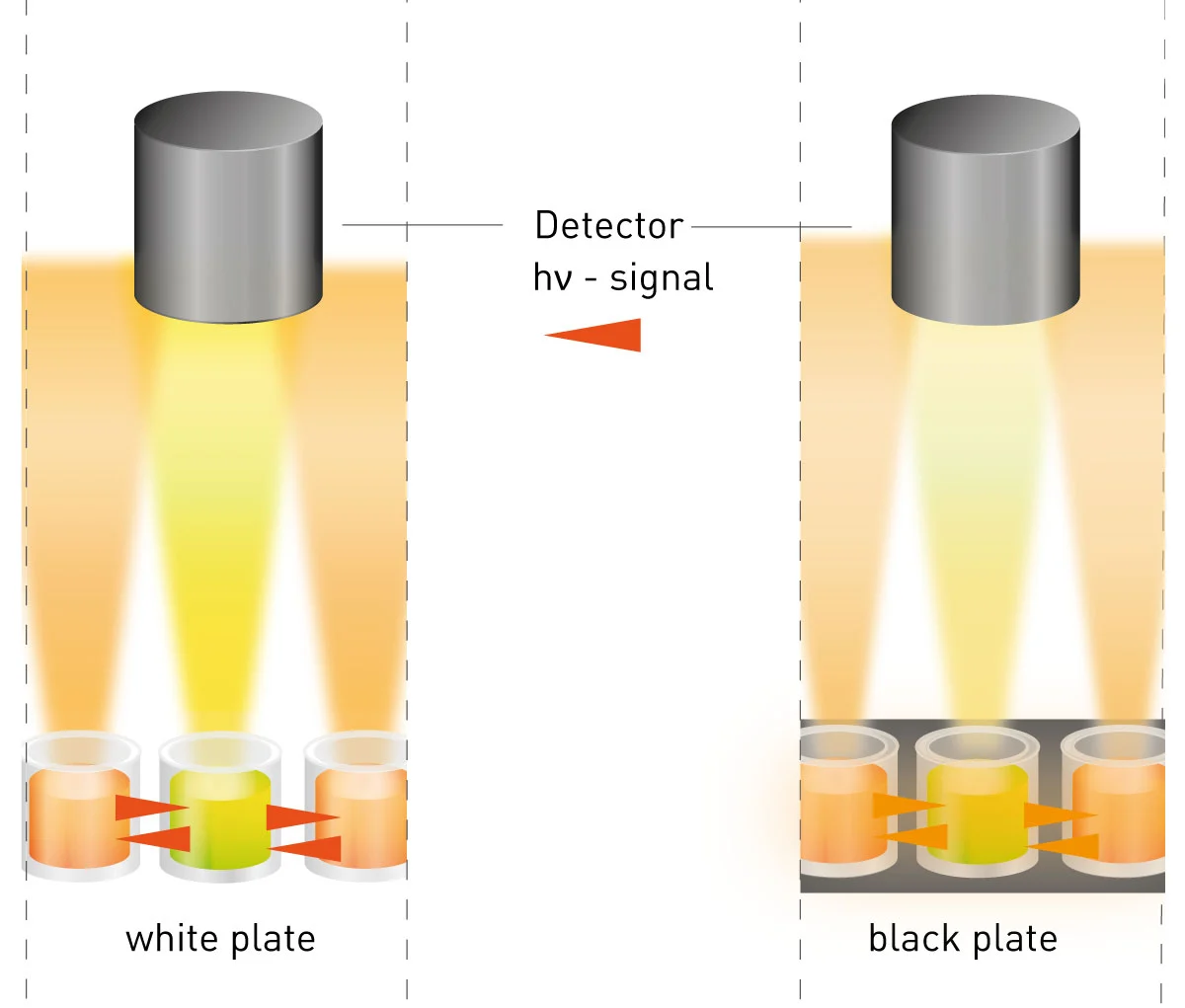 Establishing luminescence-based assays: miniaturised experiments help to  optimise results | BMG LABTECH